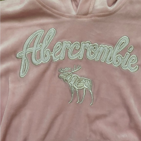 Abercrombie kids velour logo hoodie - Picture 2 of 4
